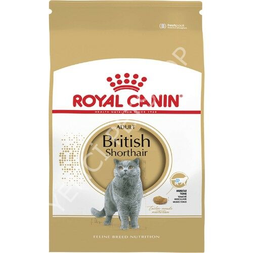 Royal Canin British Shorthair 4 kg Yetişkin Kedi Maması