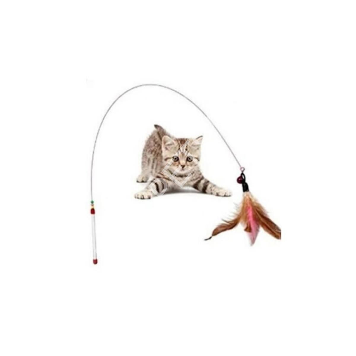 KEDİ OLTASI TEL
