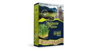 NATURE PLAN KEDİ ÇİMİ