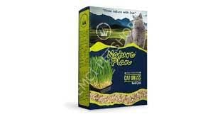 NATURE PLAN KEDİ ÇİMİ