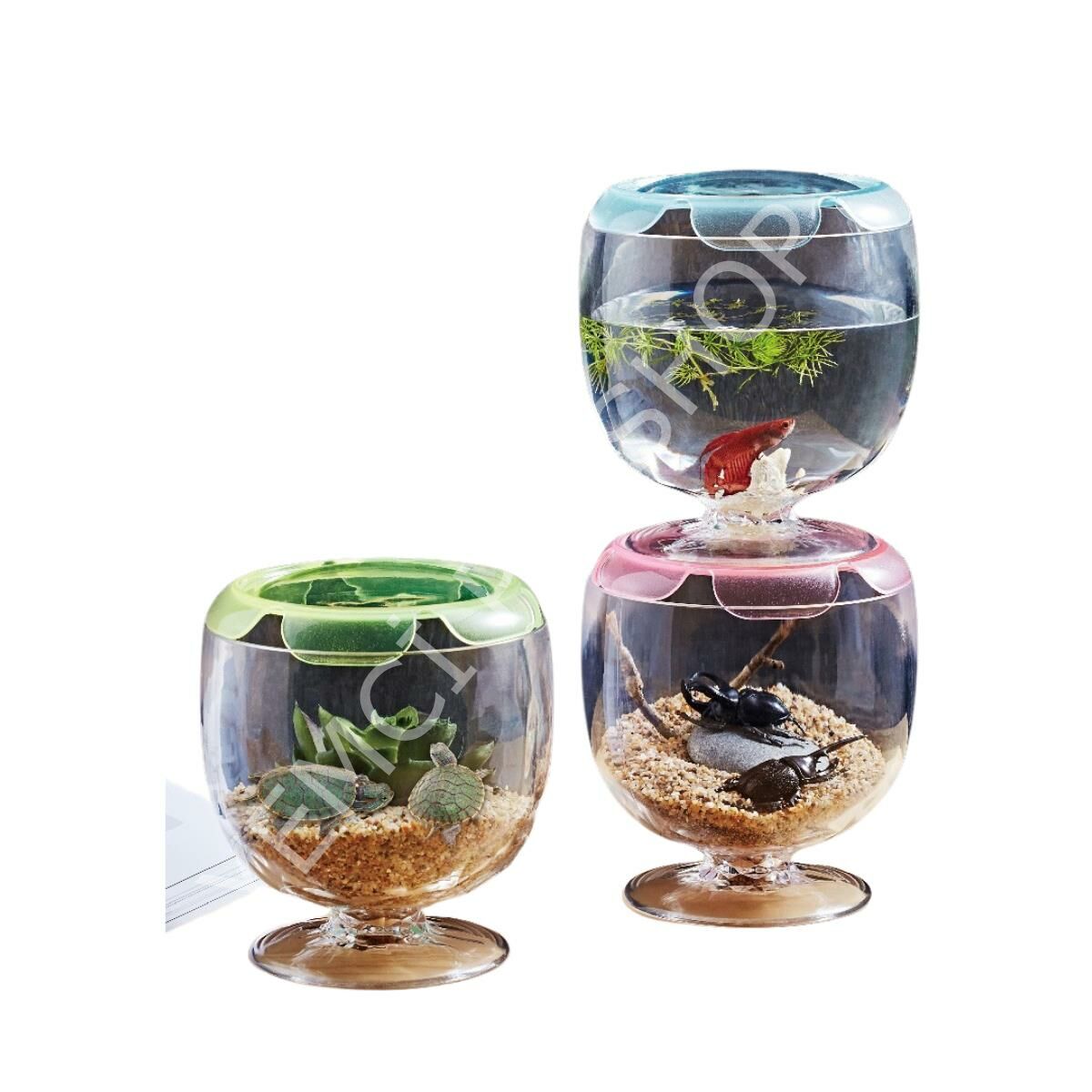 Ista Stylish Display Case - Yuvarlak Balık Tankı