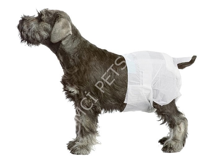 Pawise Dişi Köpek Alt Bağlama Bezi Beyaz M Boy 12 Adet