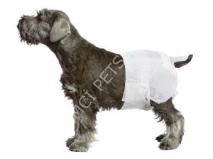 Pawise Dişi Köpek Alt Bağlama Bezi Beyaz M Boy 12 Adet