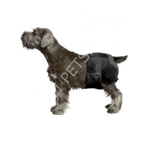 Pawise Ultra Emici Dişi Köpek Bezi 12'li Siyah Medium
