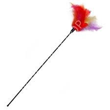 KARLIE KEDİ OLTASI 45 CM