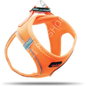 TAİLPETZ GÖĞÜS TASMASI ORANGE 3 XS