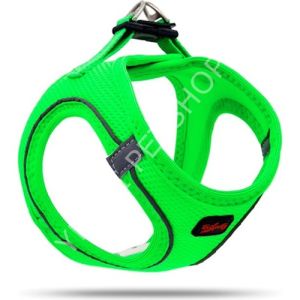 TAİLPETZ GÖĞÜS TASMASI GREEN MEDİUM