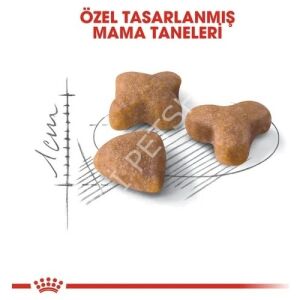 Royal Canin Sensible 33 2 kg Hassas Yetişkin Kuru Kedi Maması