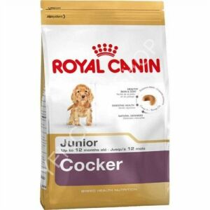 Royal Canin Cocker Puppy 3 Kg Yavru Kuru Köpek Maması