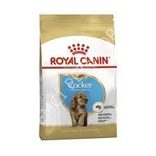 Royal Canin Cocker Puppy 3 Kg Yavru Kuru Köpek Maması