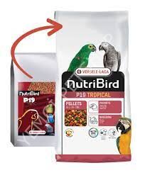 VERSELE LEGA P19 TROPİCAL PAPAĞAN PALLET YEMİ 10 KG