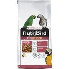 VERSELE LAGA P 19 TROPİCAL 10 KG