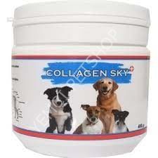 COLLAGEN SKY 400 GR