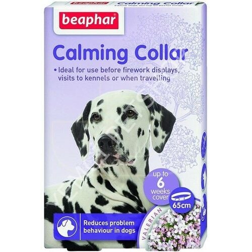 SAKİNLEŞTİRİCİ KÖPEK TASMASI