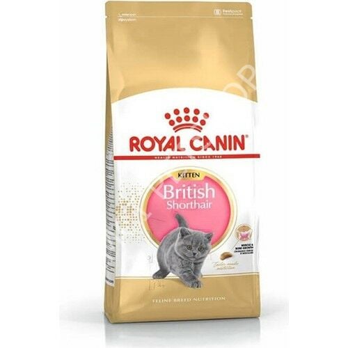 Royal Canin British Shorthair Kitten 2 Kg Yavru Kuru Kedi Maması