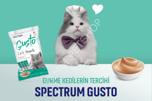 SPECTRUM GUSTO SIVI ÖDÜL TON  BALIĞI VE SOMONLU