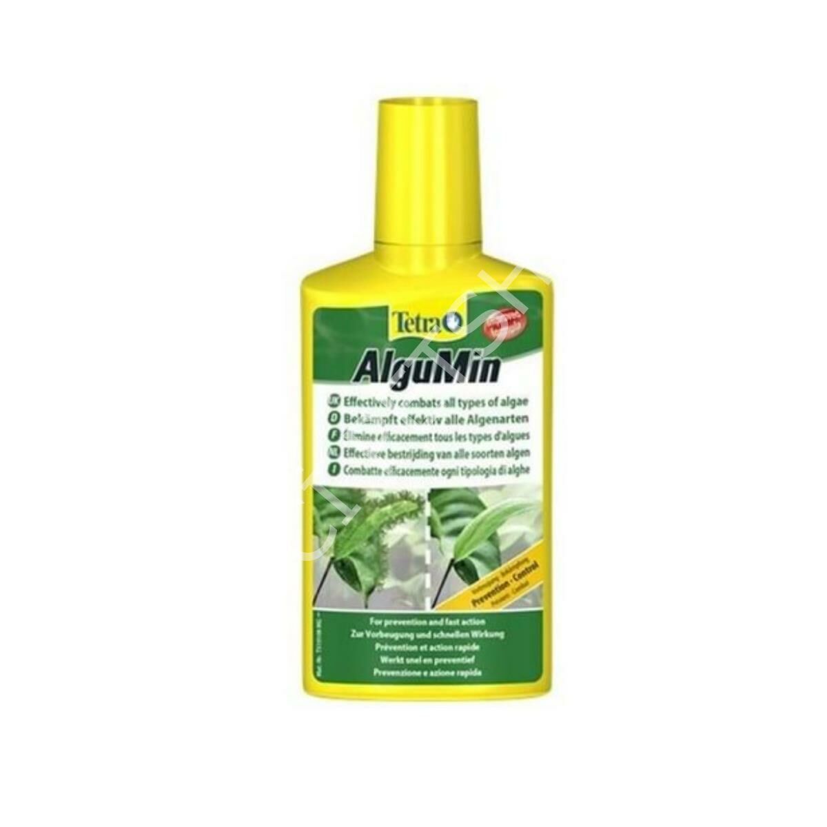 Tetra Algumin Plus Alg/Yosun Önleyici 100 ml.
