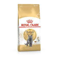 Royal Canin British Shorthair 4 kg Yetişkin Kedi Maması