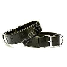 DOGGİE KONFOR DERİ KEMİK DESENLİ BOYUN TASMASI SİYAH 2X30-35CM