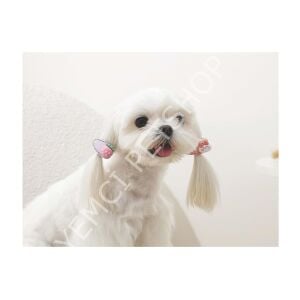 M-PETS GLAM KÖPEKLER İÇİN AKSESUAR TOKA PİNK