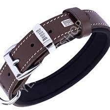 DOGGİE KONFOR DERİ KEMİK DESENLİ BOYUN TASMASI KAHVE 2,5X37-45CM