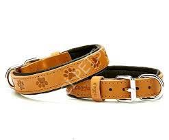 DOGGİE KONFOR DERİ PATİ DESENLİ BOYUN TASMASI KAMEL 2X30-35CM