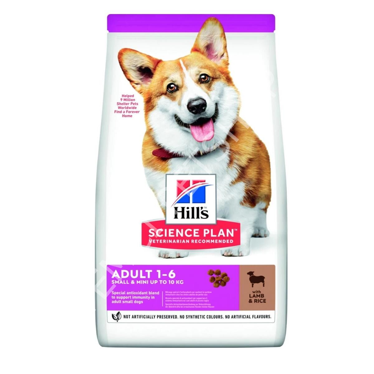 Hills Small Mini Kuzulu Yetişkin Köpek Maması 6 kg