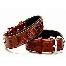 DOGGİE KONFOR DERİ PATİ DESENLİ BOYUN TASMASI KAHVE 4X52-60CM