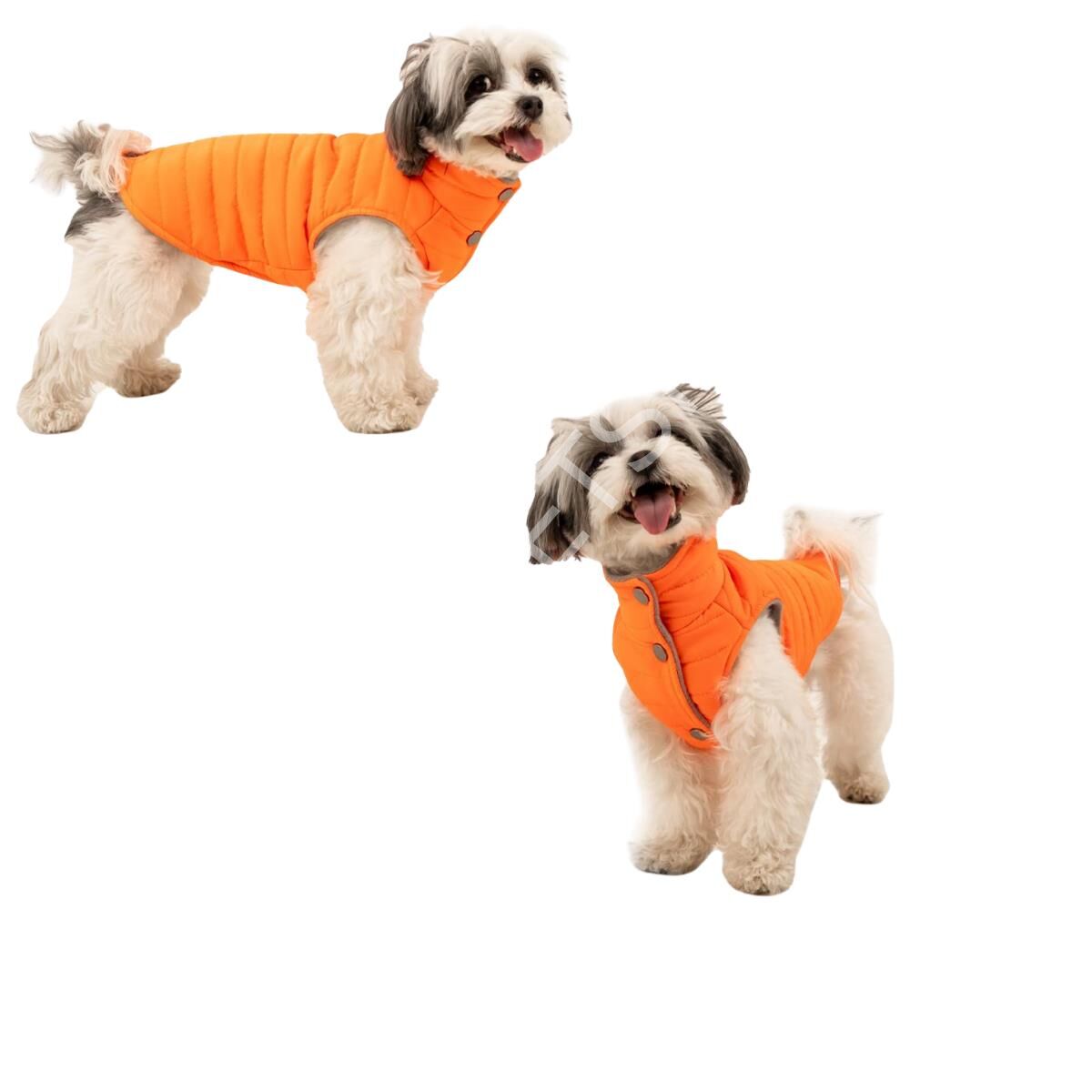 GÖKTÜRK ŞİLA KÖPEK YELEĞİ L