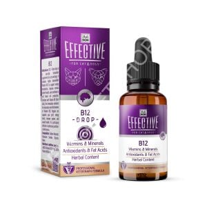 DELİBON EFFECTİVE KEDİ VE KÖPEK TAKVİYE ÜRÜNLERİ B12 50ML