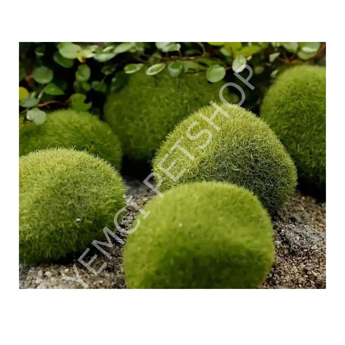 YAPAY AKVARYUM YOSUNU 10 ADET