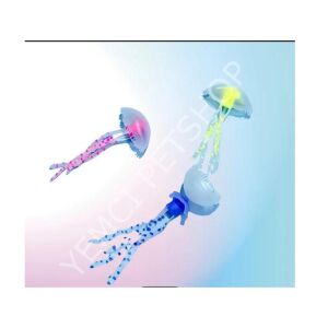 AKVARYUM İÇERİSİNDE YÜZEN DENİZANASI 6 ADET