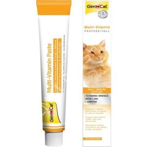 Gimcat Multi Vitamin Duo Paste 12 Vitaminli Peynirli Kedi Macunu 100 Gr
