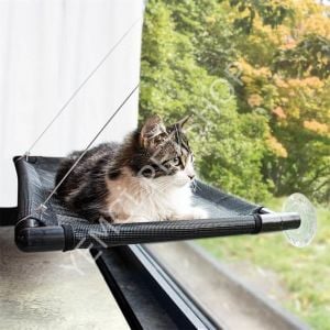 Kediler İçin Cam Askılığı Kedi Yatağı
